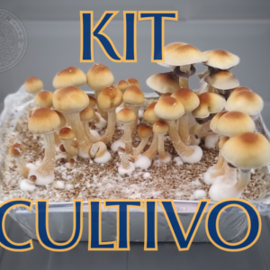 Kit Cultivo