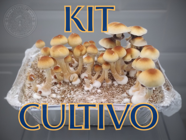 Kit Cultivo